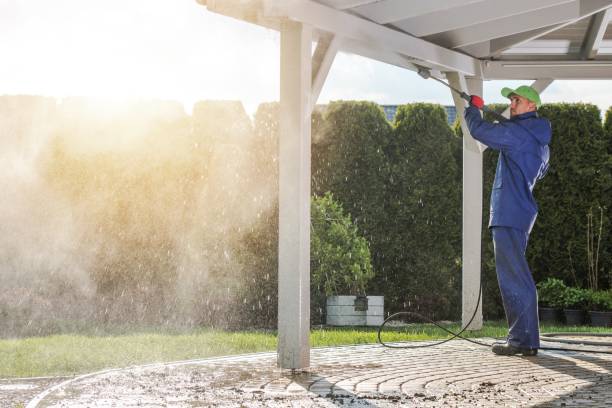 Animal Enclosure Cleaning in Adel, IA